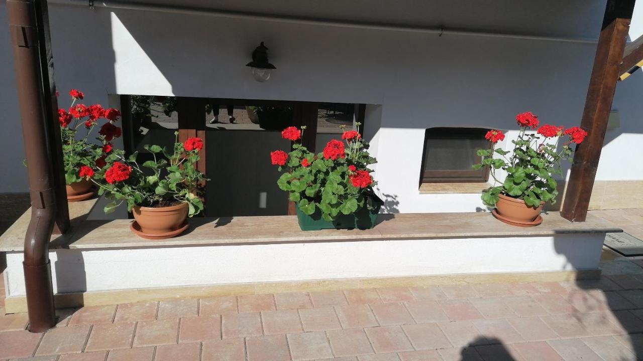 Bed and Breakfast Ana Boutique Alba Iulia Zewnętrze zdjęcie
